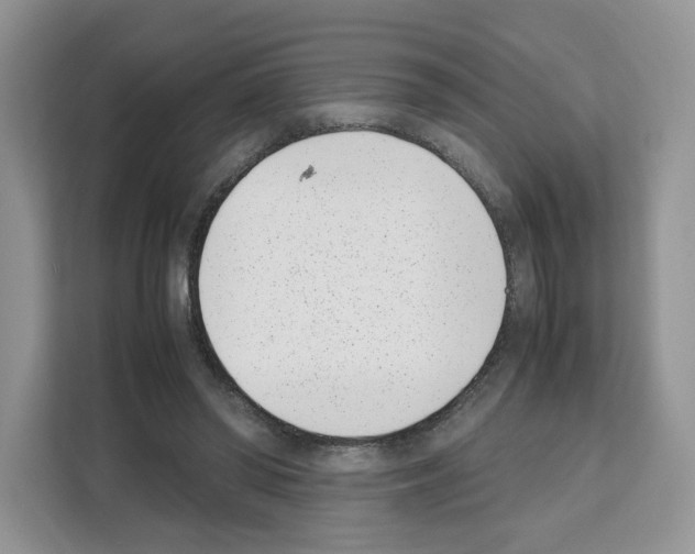 X0000111660398200908281114