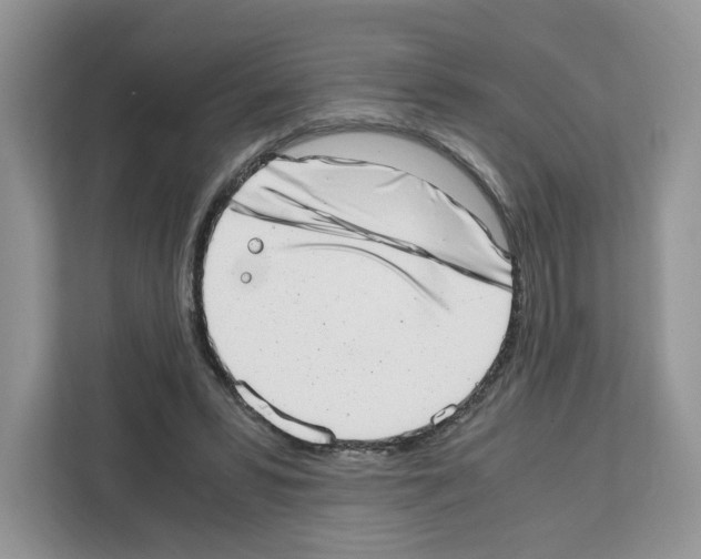 X0000111660399200908281114