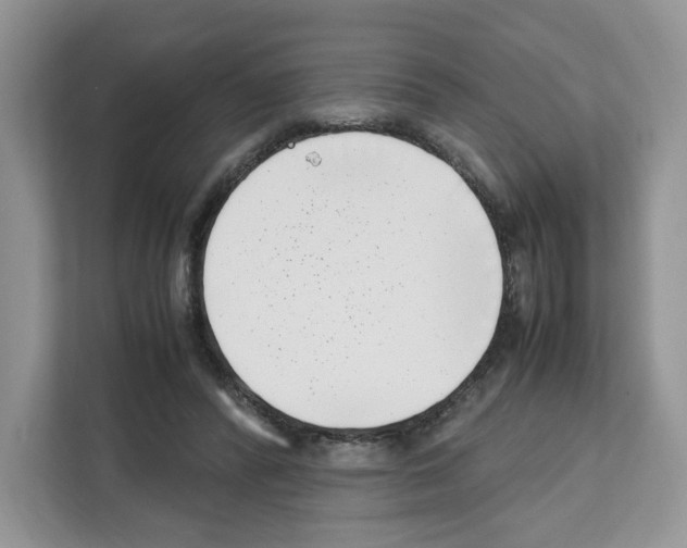 X0000111660400200908281114