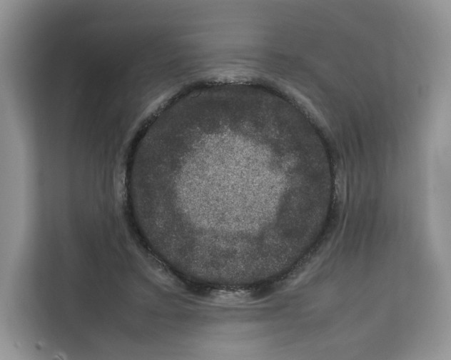 X0000111660403200908281114