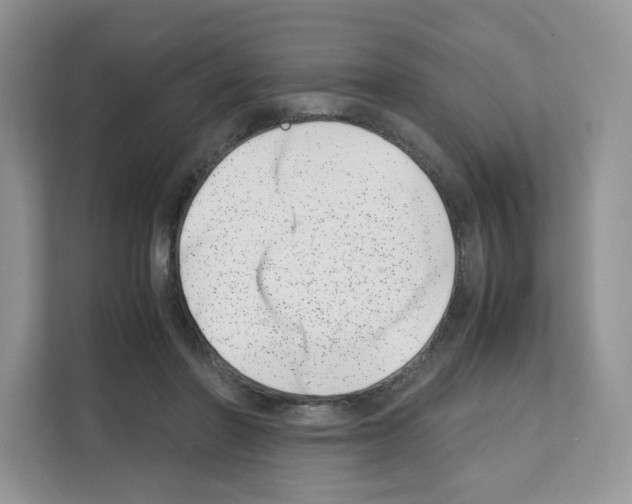 X0000111660406200908281114