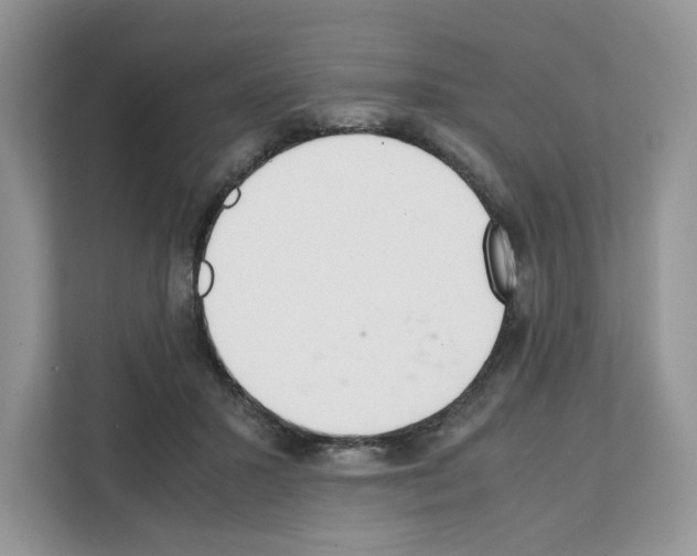 X0000111660407200908281114