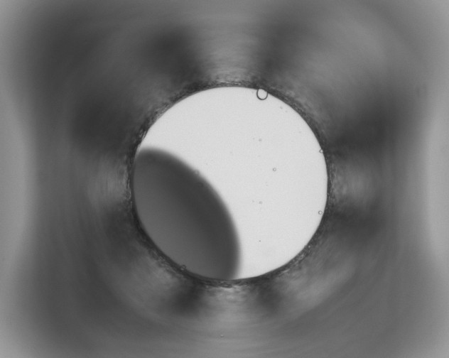 X0000111660411200908281114