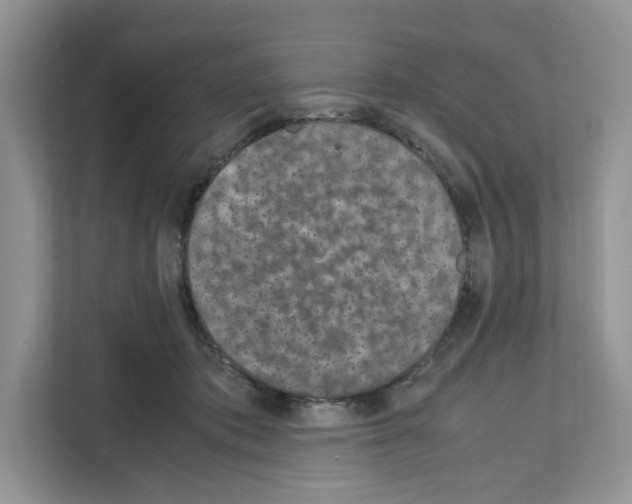 X0000111660413200908281114