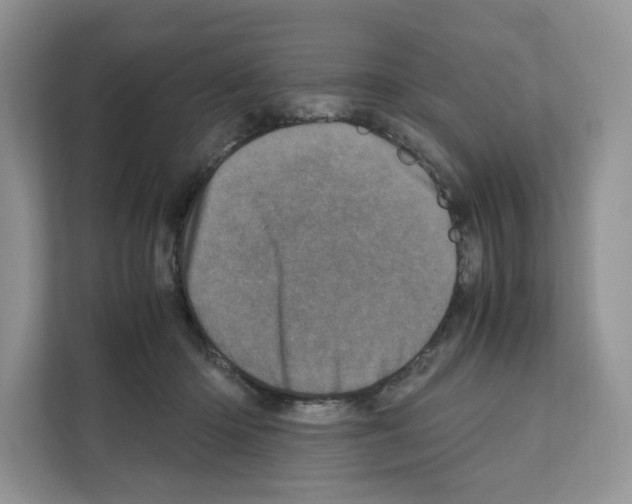 X0000111660414200908281114