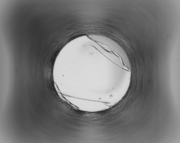 X0000111660417200908281114