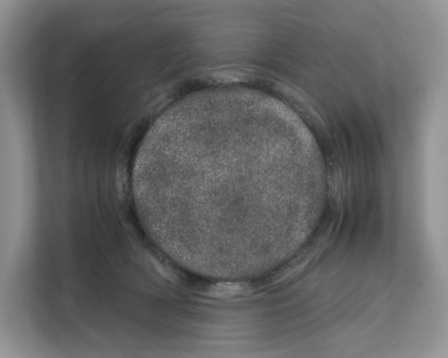 X0000111660418200908281114