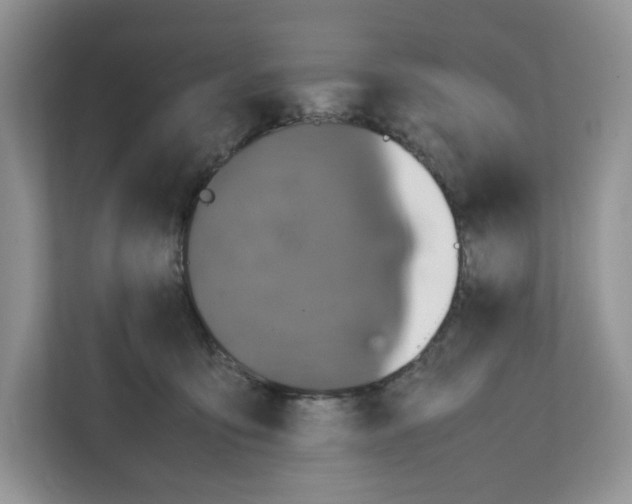 X0000111660419200908281114