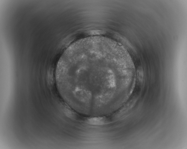 X0000111660422200908281113