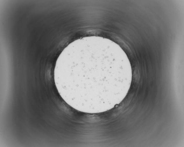 X0000111660424200908281113