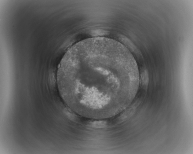 X0000111660426200908281113