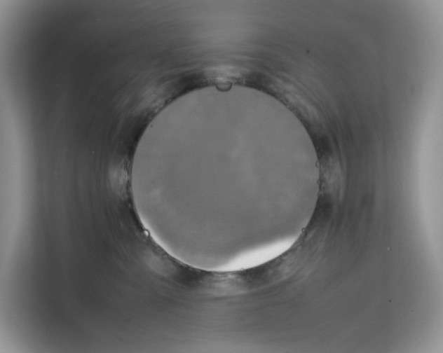 X0000111660427200908281113