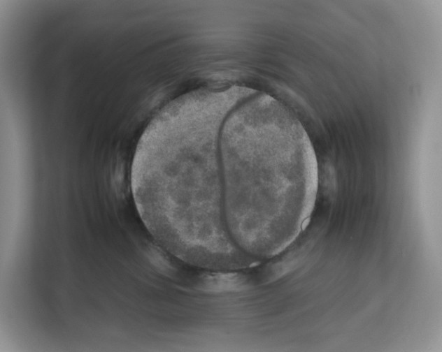 X0000111660428200908281113