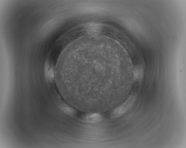 X0000111660431200908281113