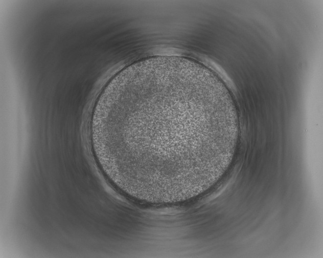 X0000111660433200908281113