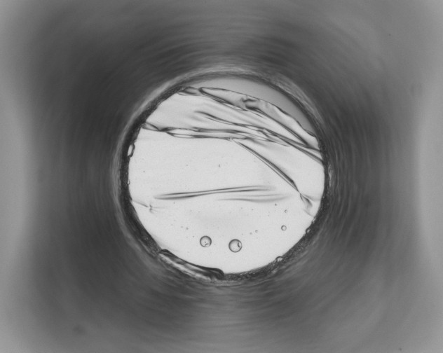 X0000111660436200908281113