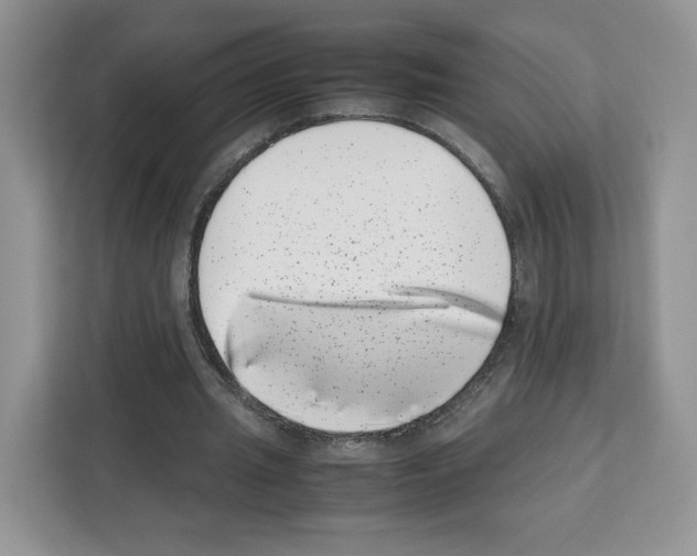 X0000111660437200908281113