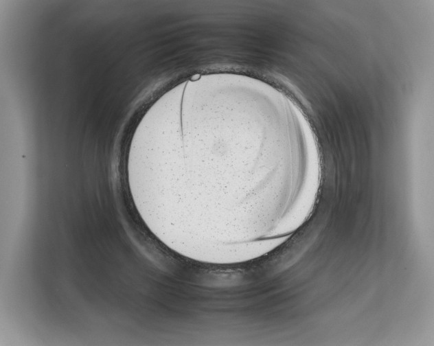 X0000111660443200908281113