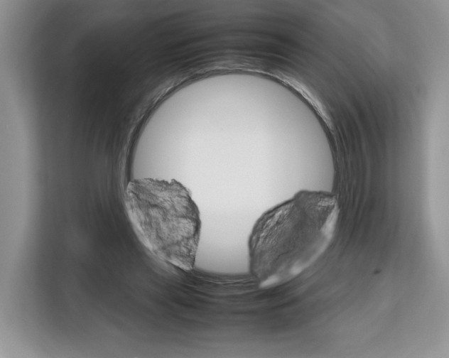 X0000111660445200908281113