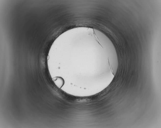 X0000111660452200908281113