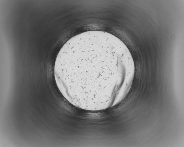 X0000111660457200908281113