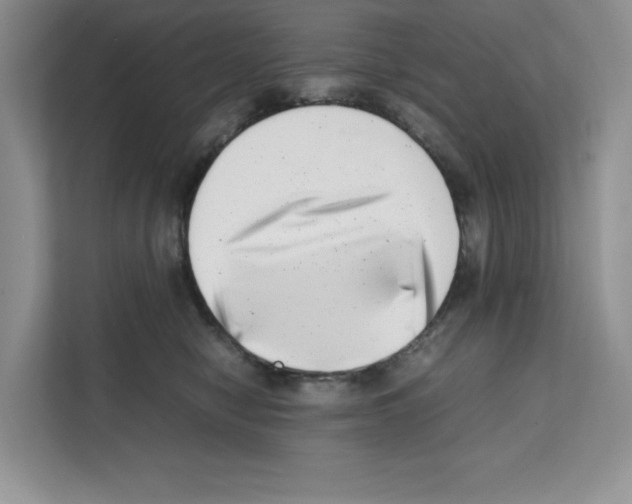 X0000111660470200908281113