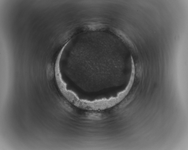 X0000111660471200908281113