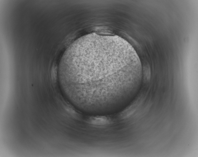 X0000111660475200908281113