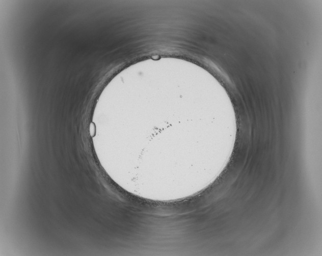 X0000111660481200908281113