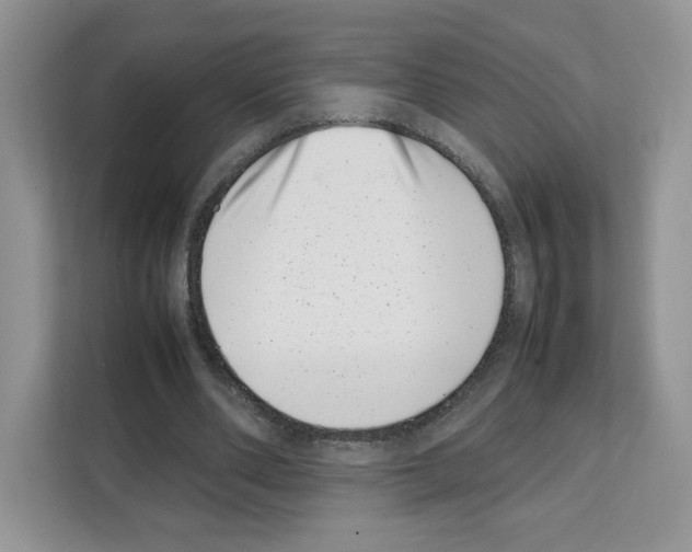 X0000111660486200908281113