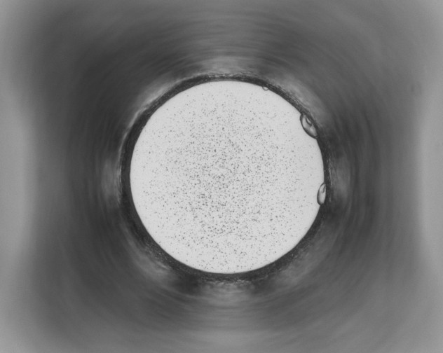 X0000111660488200908281113