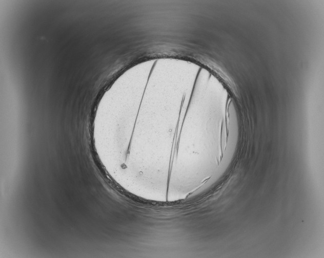 X0000111660489200908281113