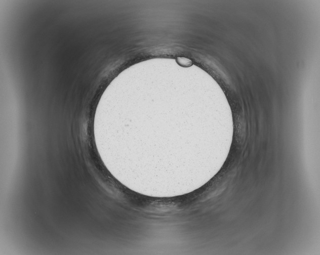 X0000111660491200908281113