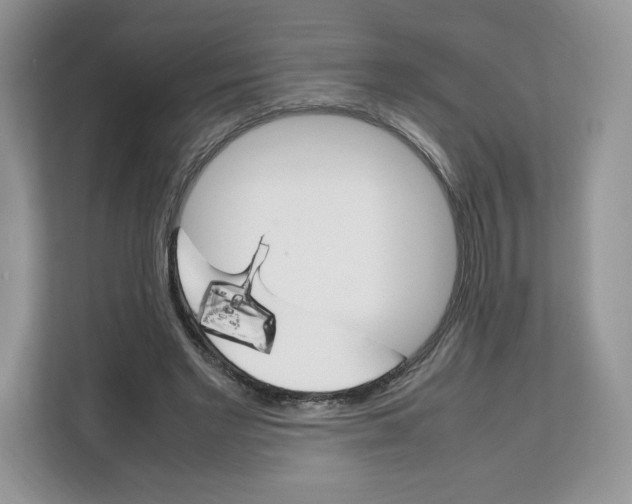 X0000111660493200908281113