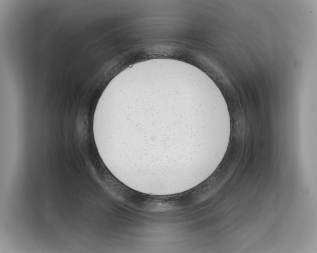 X0000111660498200908281112