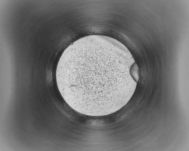 X0000111660500200908281112