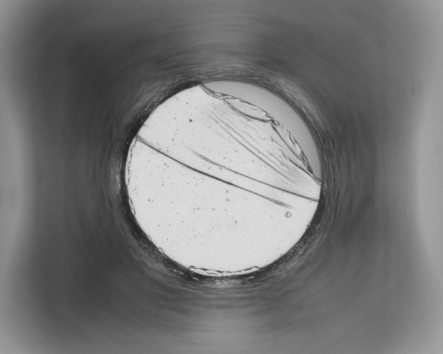 X0000111660501200908281112