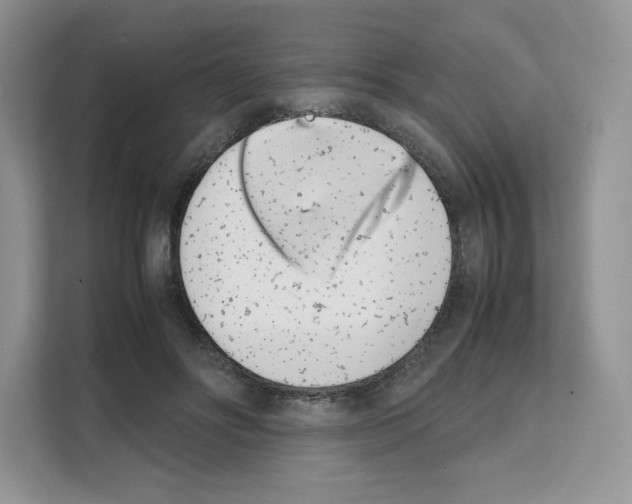 X0000111660502200908281112