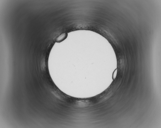 X0000111660508200908281112