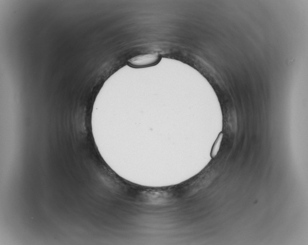 X0000111660512200908281112