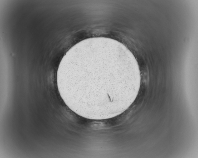 X0000111660519200908281112