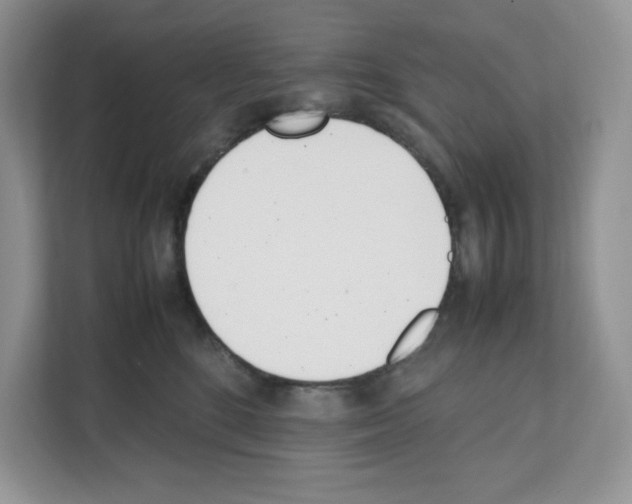 X0000111660520200908281112