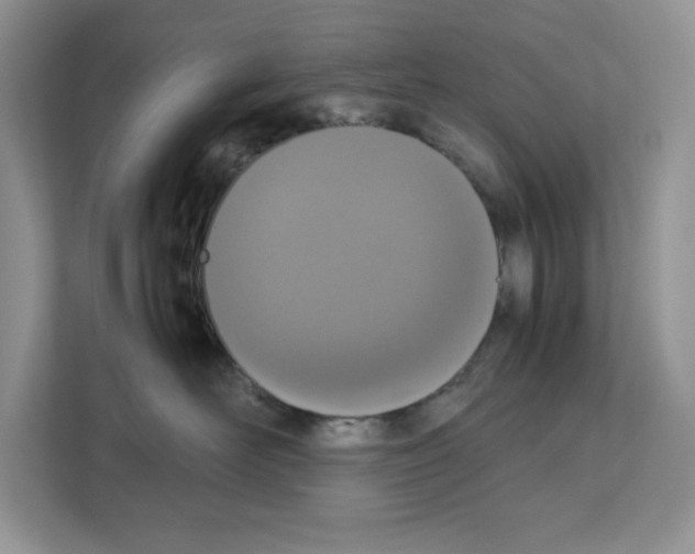 X0000111660526200908281112