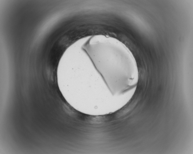 X0000111660527200908281112