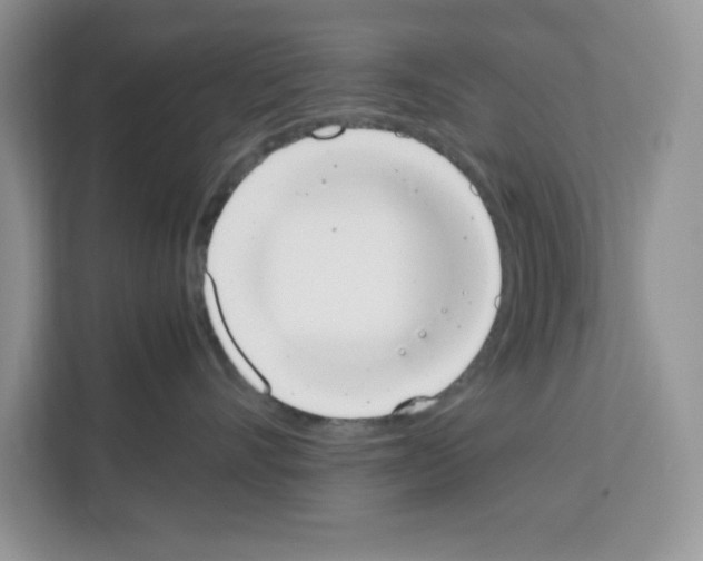 X0000111660528200908281112