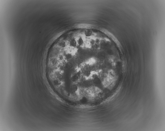 X0000111660529200908281111