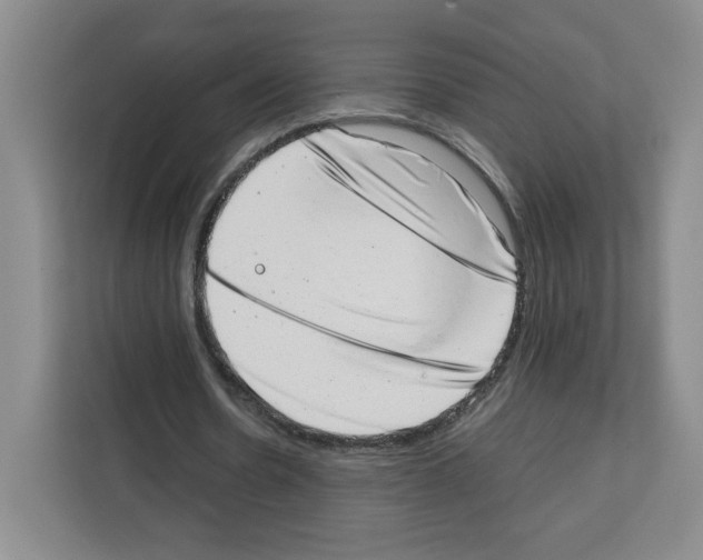 X0000111660530200908281111