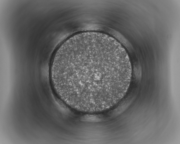 X0000111660534200908281112