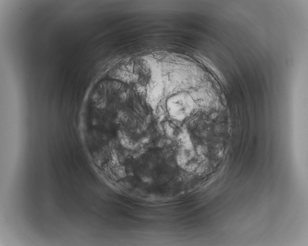 X0000111660541200908281112