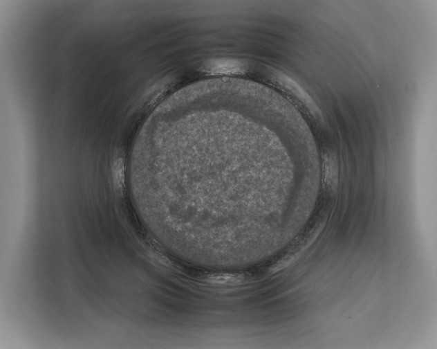 X0000111660549200908281112